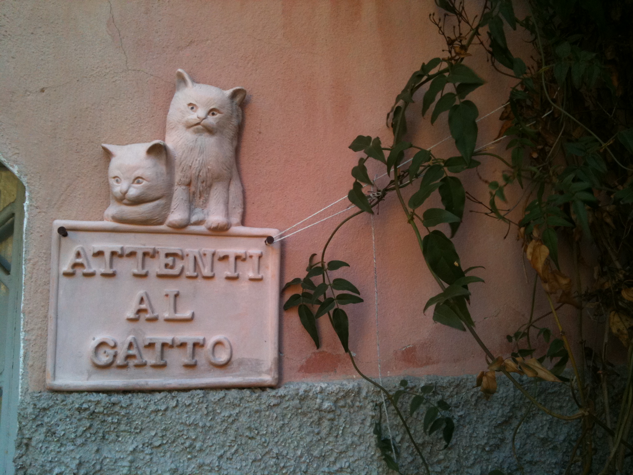 Beware of the cat - Attenti al gatto