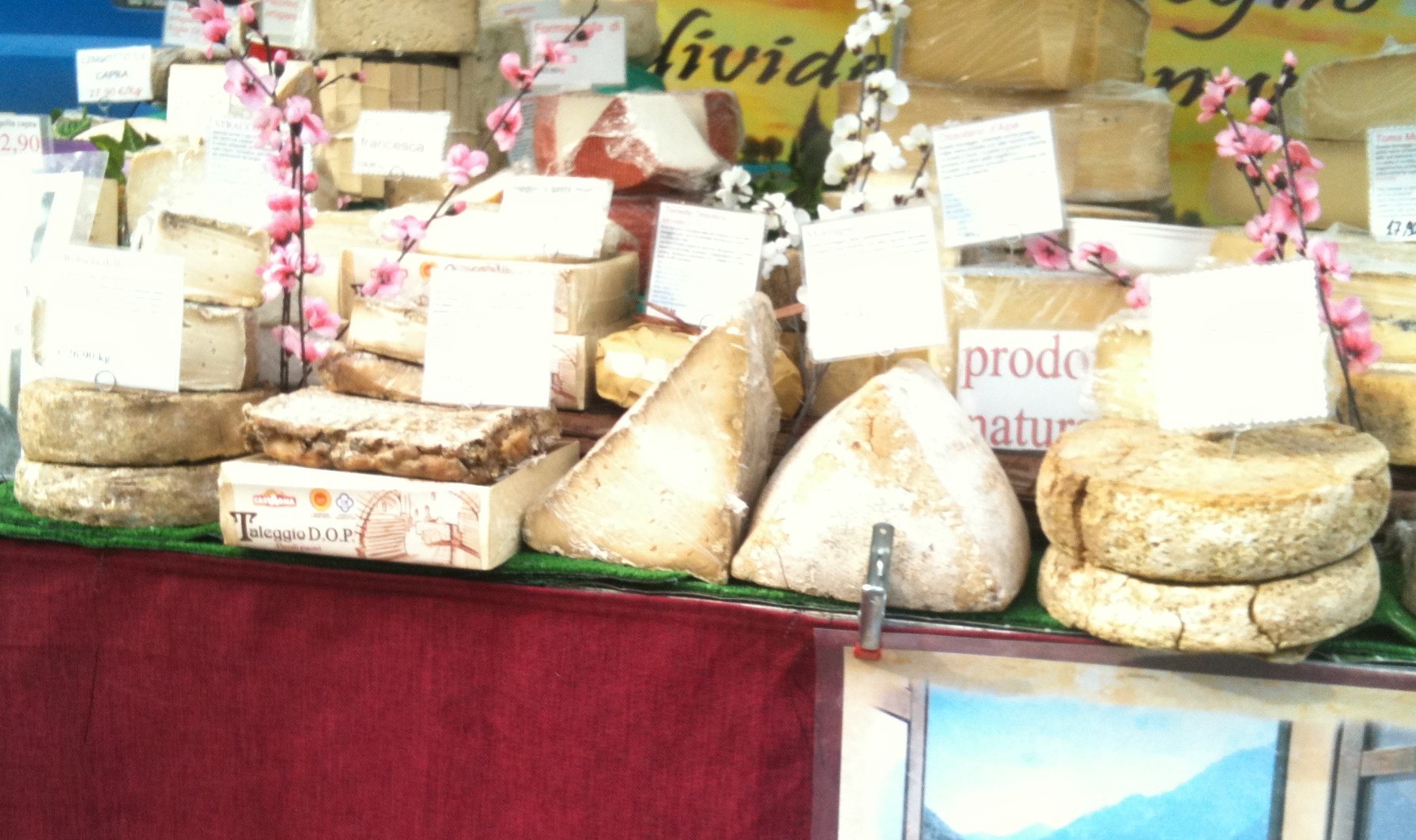 Spring Cheese, Market Italy