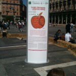 Apple instructions