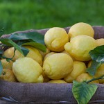 Sorrento-lemons