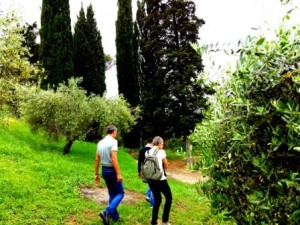 Adopt an Olive Tree in Italy: Visiting the olive tree in Umbria
