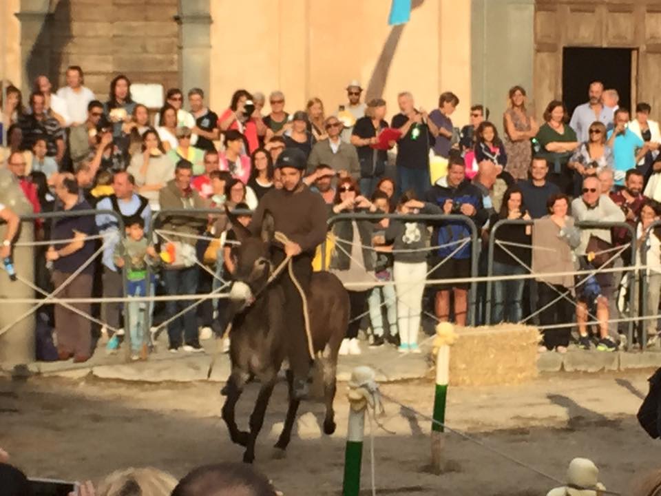 Bagnoregio donkey race