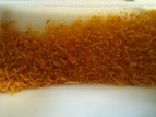 IMG_6272[1]