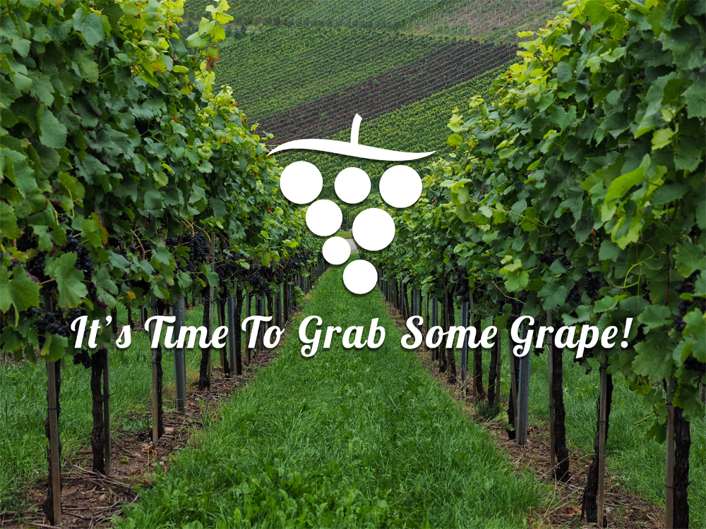 Harvest-Grape- Italian-Wine