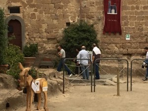 bagnoregio before the race donkey