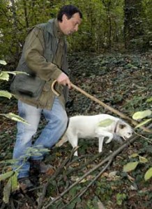 truffle dog university italy gianni