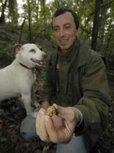 truffle dog university italy search