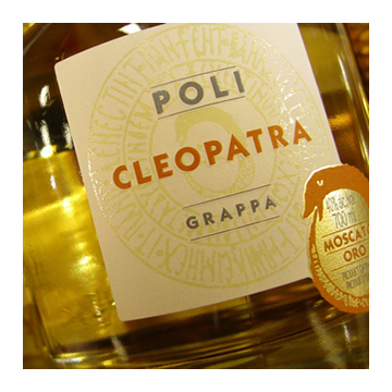 Italian Grappa