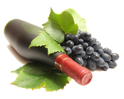 Italian Wines