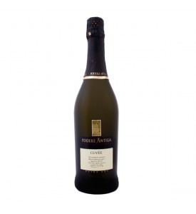 Prosecco veneto - Podere Antigua