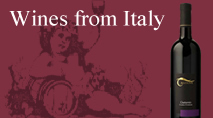 Italian wine shop Top italian wines