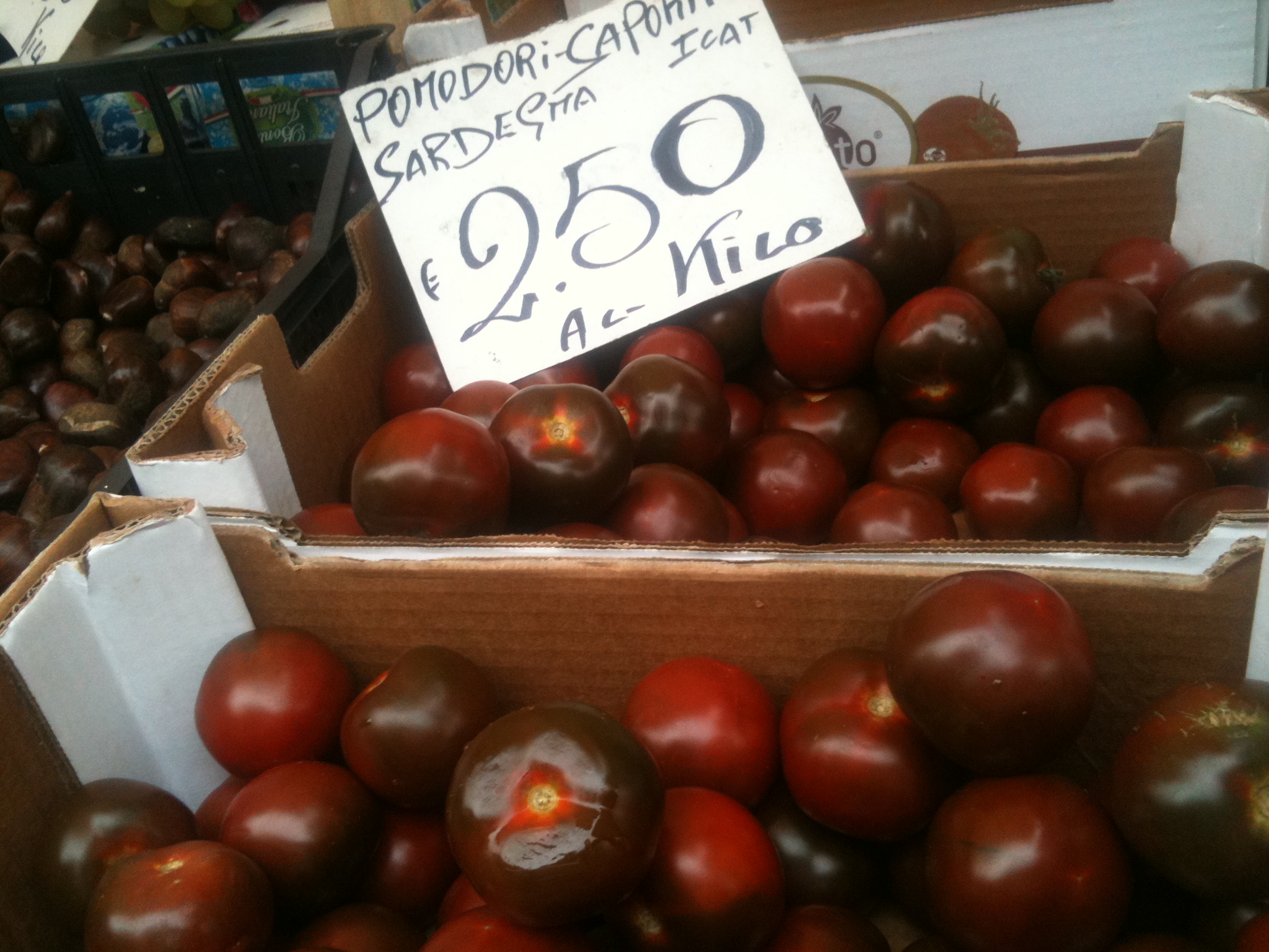 Speical tomatoes from Sardegna