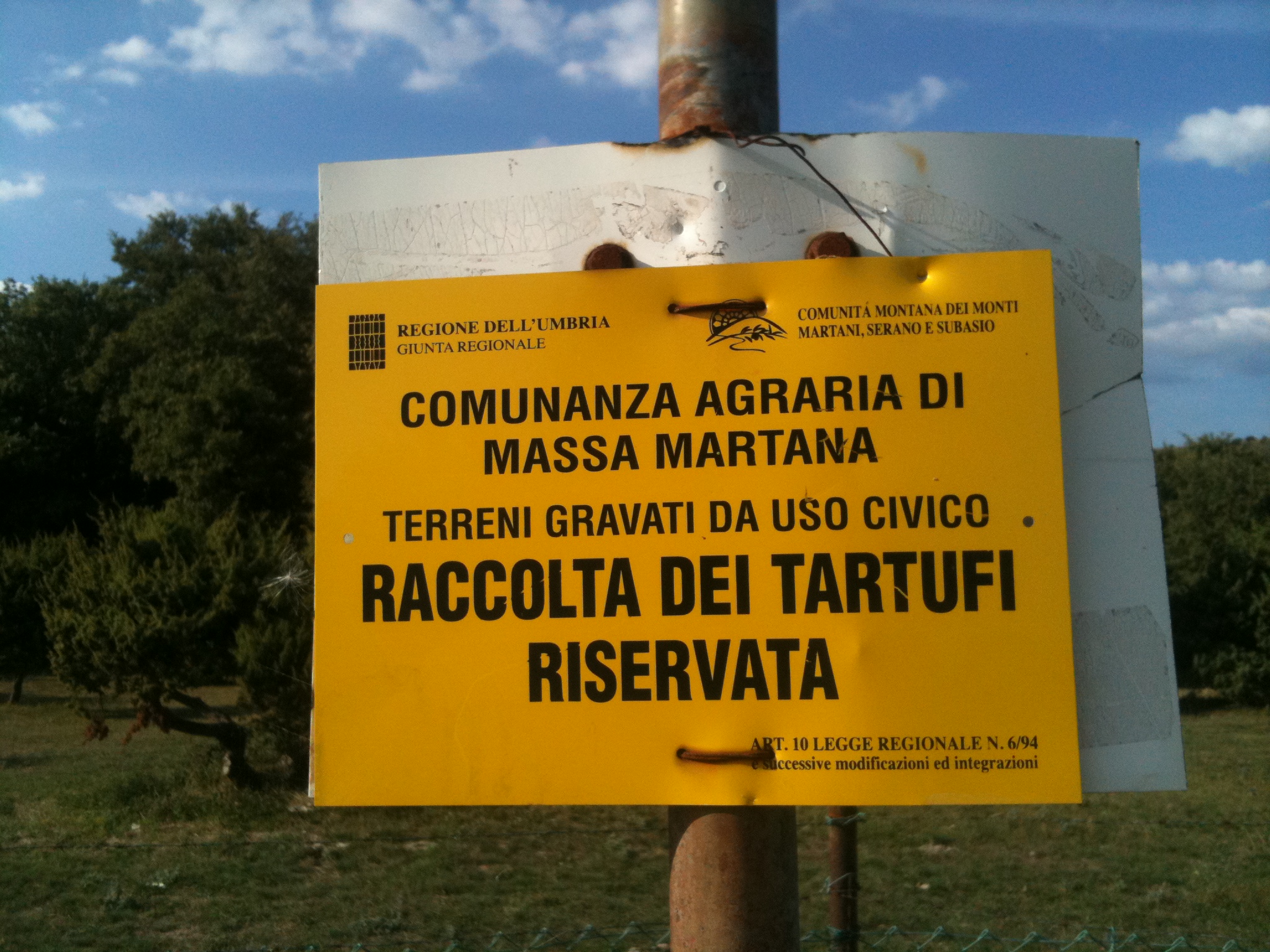Truffle search season in Italy