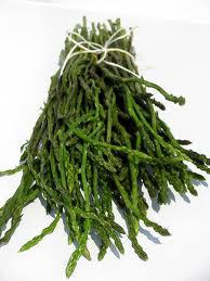 green wild asparagus