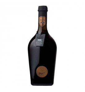 Parma Strong Ale Bronze - with yeasts of Lambrusco